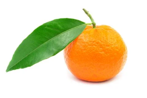 Mandarin isolated on white Stock Photos