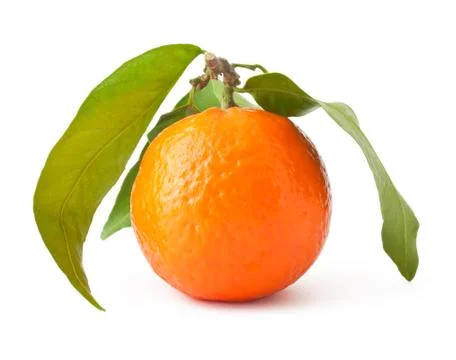 Mandarin with leaves Stock Photos