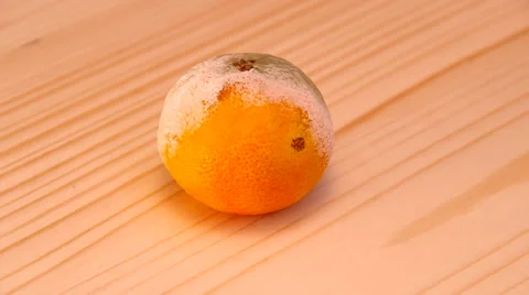 Mandarin moldy Stock Footage 34339947