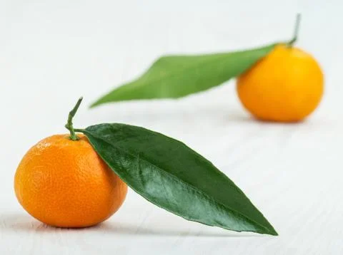 Mandarin on an old white table Stock Photos