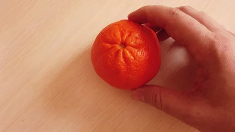 Mandarin or clementine in hand on the table Video stock 151085797