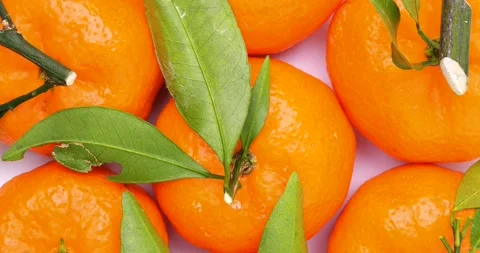 Mandarin Orange Stock Footage 168657474