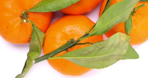Mandarin orange Stock Footage 212492170