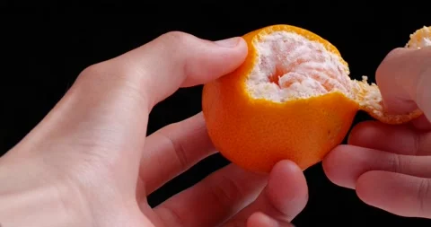 Mandarin orange Stock Footage 220825719