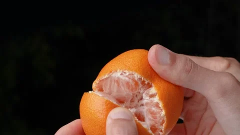Mandarin orange Stock Footage 225236019