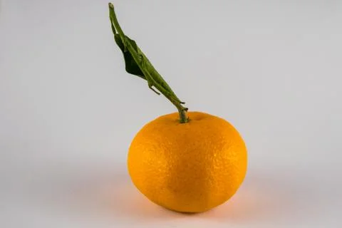 Mandarin orange with leaf Foto stock