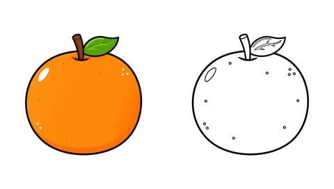 Mandarin Orange Outline Drawing Version Stock Illustration