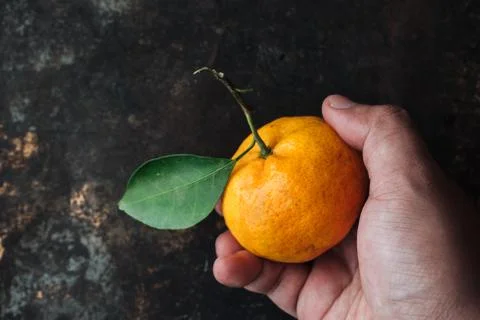 Mandarin orange on rustic background Stock Photos