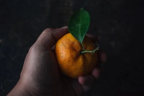 Mandarin orange on rustic background Stock Photos