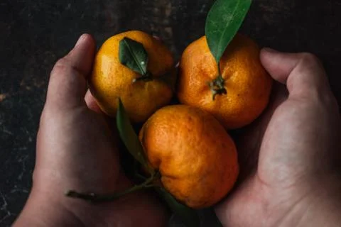 Mandarin orange on rustic background Stock Photos