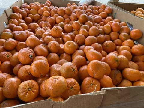 Mandarin Oranges Citrus Fruit Stock Photos