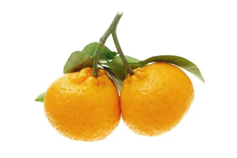 Mandarin oranges Stock Photos