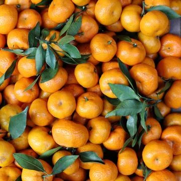 Mandarin Oranges Stock Photos