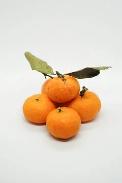 Mandarin oranges 写真素材