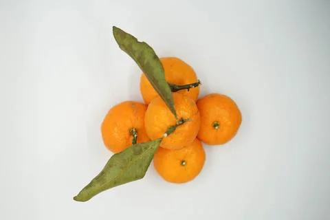 Mandarin oranges 库存照片