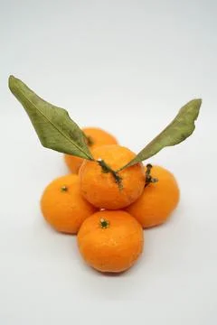Mandarin oranges 写真素材