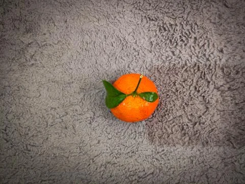 Mandarin oranges Stock Photos