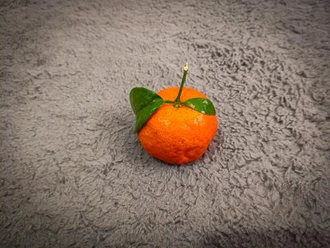 Mandarin oranges Stock Photos