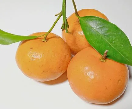 Mandarin oranges on a white background Stock Photos