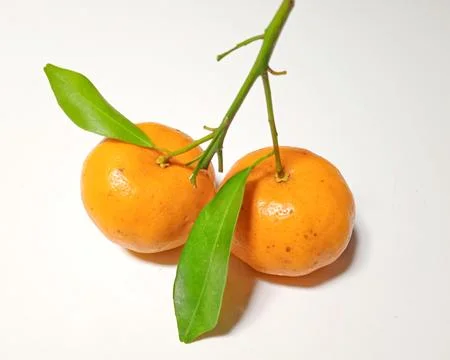 Mandarin oranges on a white background Stock Photos