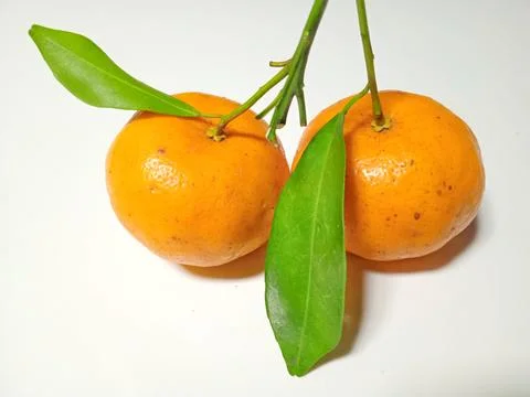 Mandarin oranges on a white background Stock Photos