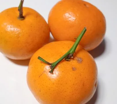 Mandarin oranges on a white background Stock Photos
