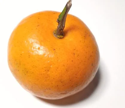 Mandarin oranges on a white background Stock Photos