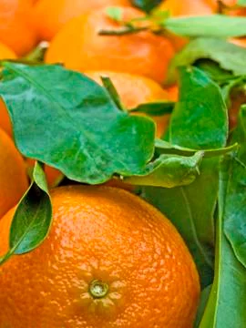 Mandarin Stock Photos