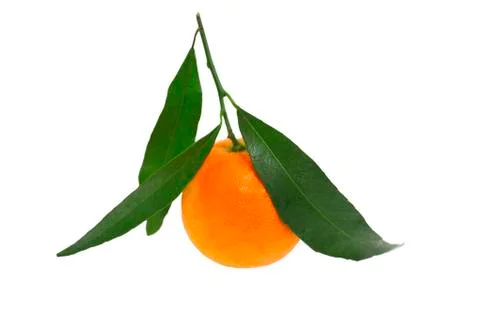 Mandarin Stock Photos