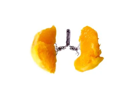 Mandarin Stock Photos