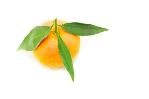 Mandarin Foto stock