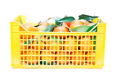 Mandarin Stock Photos