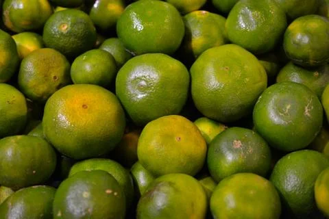 Mandarin Stock Photos