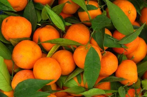 Mandarin Stock Photos