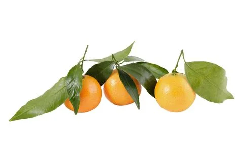 Mandarin Stock Photos