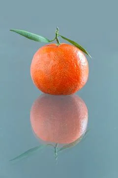 Mandarin reflex Stock Photos