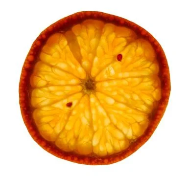 Mandarin slice Stock Photos