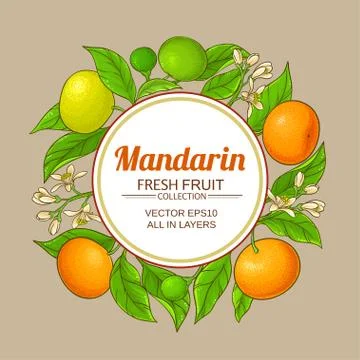 Mandarin vector frame Stock Illustration