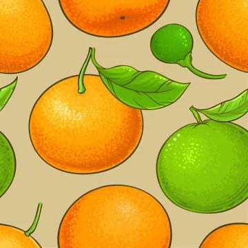 Mandarin vector pattern Stock Illustration