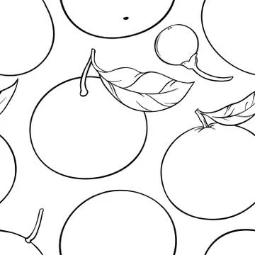 Mandarin vector pattern Stock Illustration