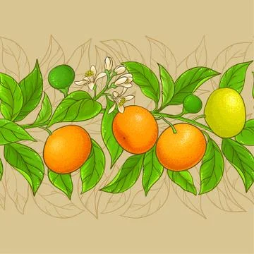 Mandarin vector pattern Stock Illustration