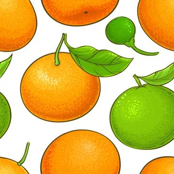 Mandarin vector pattern Stock Illustration