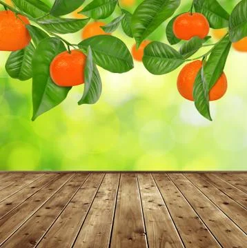 Mandarine tree Foto stock