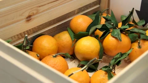 Mandarines in a box for the New Year Stock Footage 219688385