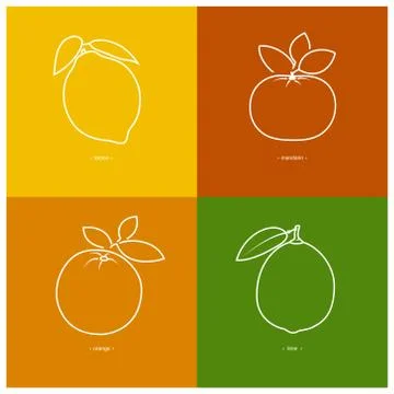 Mandarin,Orange, Lemon, Lime 스톡 일러스트