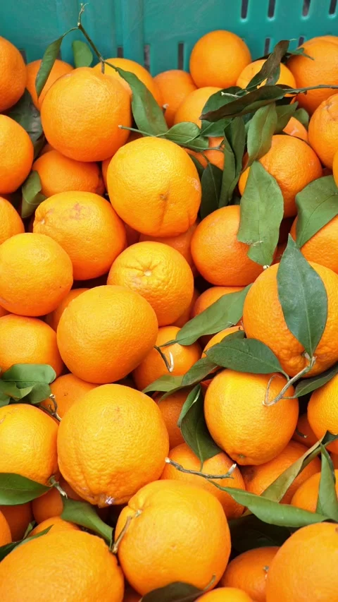 Mandarins are placed in a container at a market stall Stock Footage 305853443