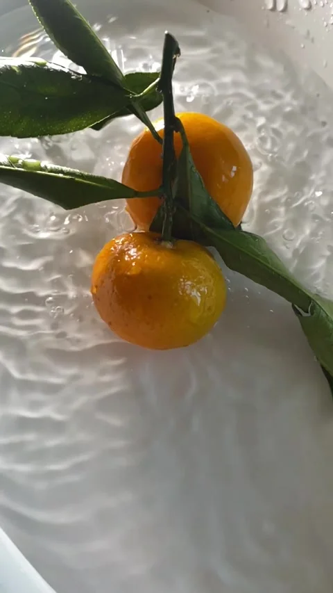 Mandarins Stock-Footage 241294585