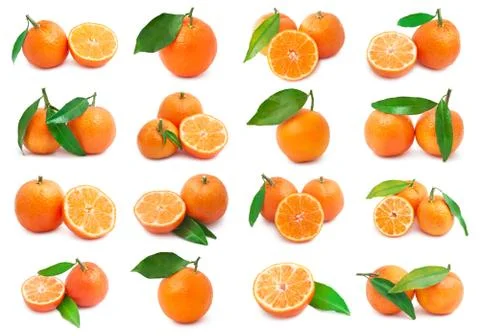 Mandarins Stock Illustration