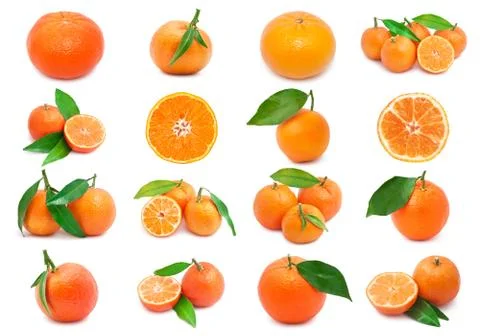 Mandarins Stock Illustration