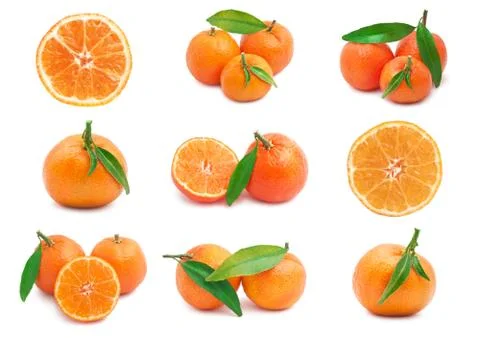 Mandarins Stock Illustration